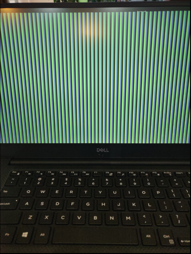 Dell Faulty Display.PNG
