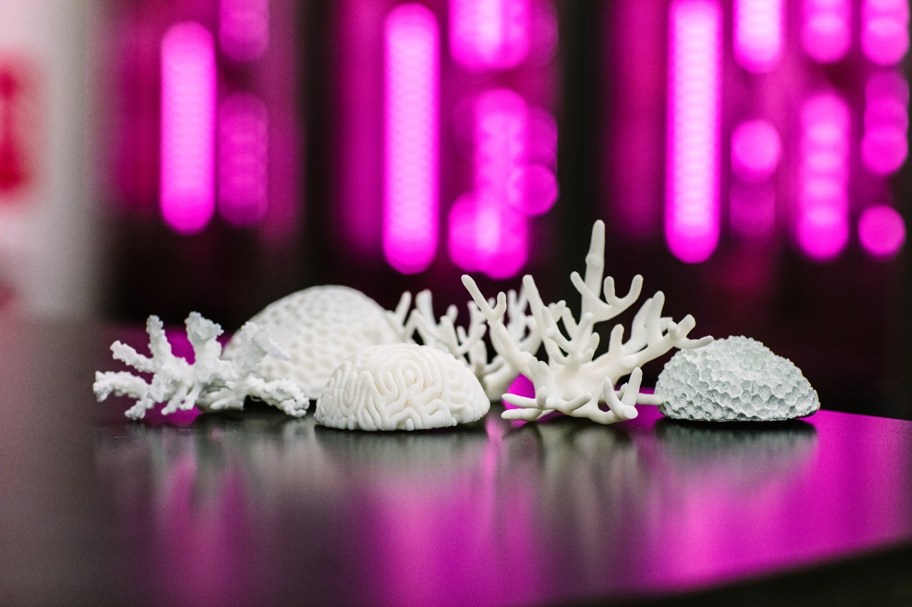 3D-printed coral could help restore the Great Barrier Reef | Dell  Technologies Denmark