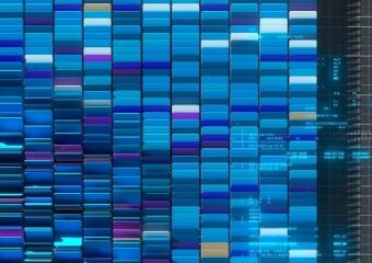 provided by submitter